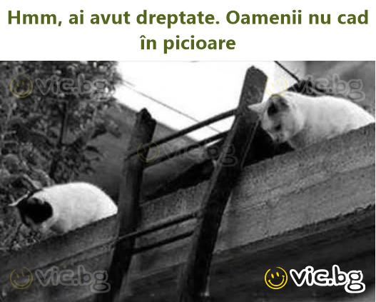 Hmm, ai avut dreptate. Oamenii nu cad în picioare