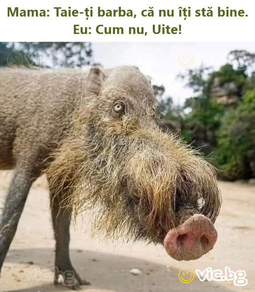 Mama: Taie-ți barba, că nu îți stă bine. Eu: Сuм nu, Uite!