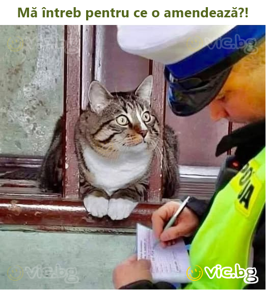 Mă întreb pentru ce o amendează?!