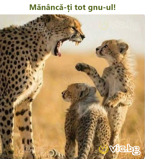 Mănâncă-ți tot gnu-ul!