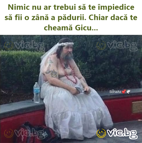 Nimic nu ar trebui să te împiedice să fii o zână a pădurii. Chiar dacă te cheamă Gicu...