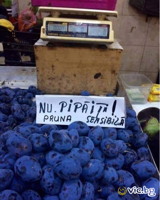 Nu. Pipaiti! Pruna sensibila