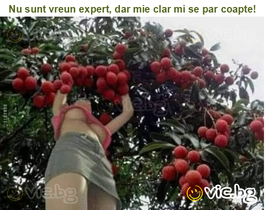 Nu sunt vreun expert, dar mie clar mi se par coapte!