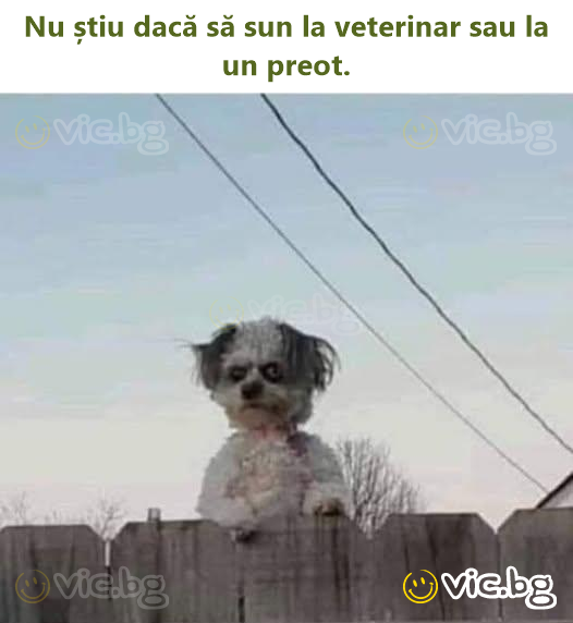 Nu știu dacă să sun la veterinar sau la un preot.