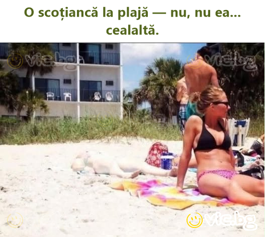 O scoțiancă la plajă — nu, nu ea... cealaltă.
