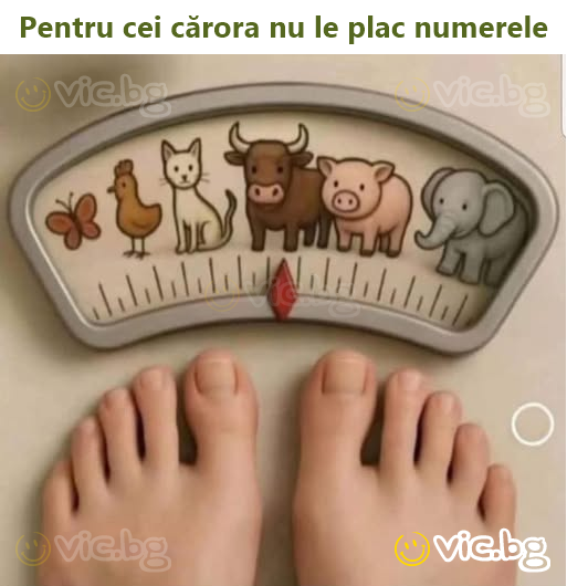 Pentru cei cărora nu le plac numerele