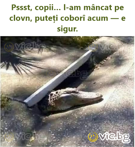 Pssst, copii… l-am mâncat pe clovn, puteți coborî acum — e sigur.