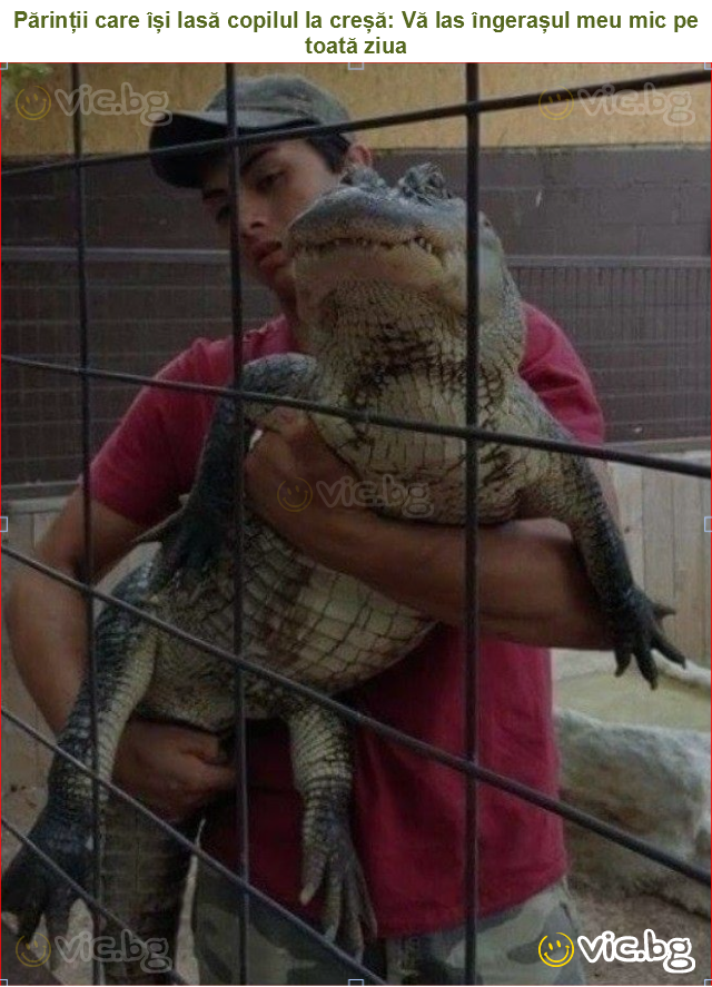 Părinții care își lasă copilul la creșă: Vă las îngerașul meu mic pe toată ziua