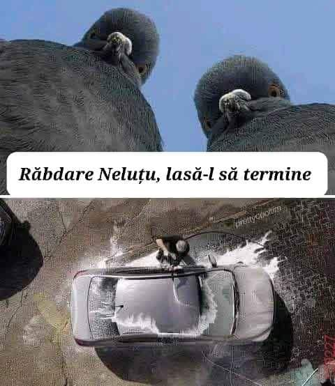 Rabdare Nelutu, lasa-L sa termine