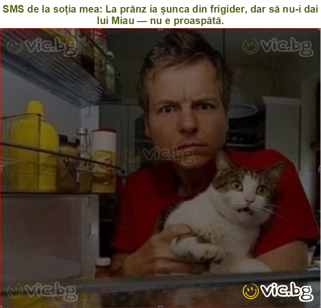 SMS de la soția mea: La prânz ia șunca din frigider, dar să nu-i dai lui Miau — nu e proaspătă.