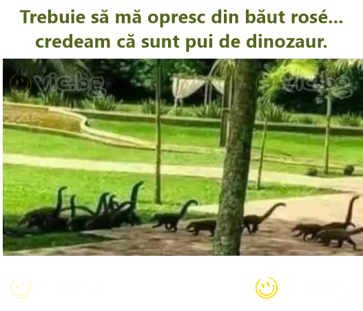 Trebuie să mă opresc din băut rosé... credeam că sunt pui de dinozaur.