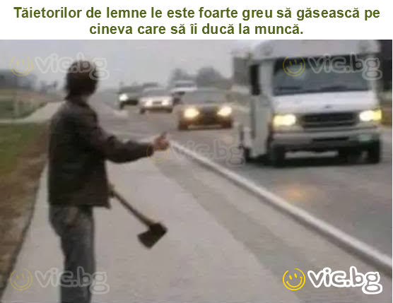 Tăietorilor de lemne le este foarte greu să găsească pe cineva care să îi ducă la muncă.