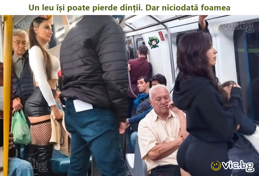 Un leu își poate pierde dinții. Dar niciodată foamea