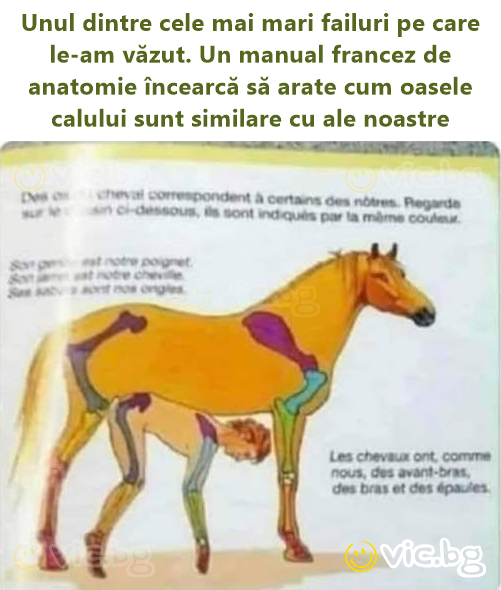 Unul dintre cele mai mari failuri pe care le-am văzut. Un manual francez de anatomie încearcă să arate cum oasele calului sunt similare cu ale noastre