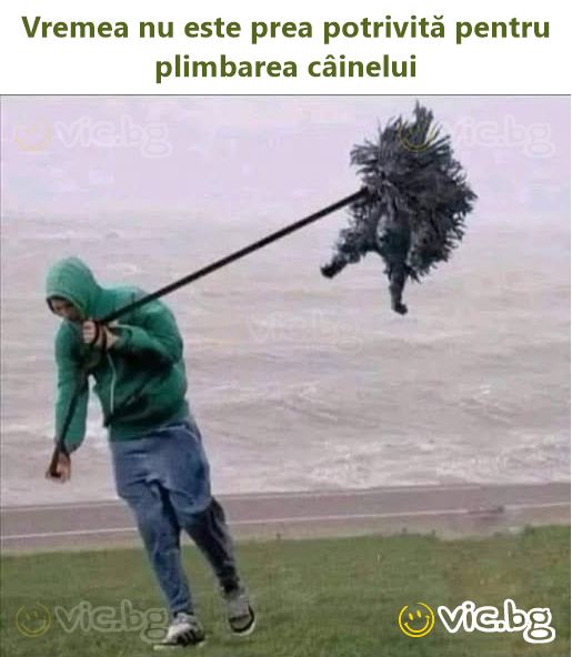 Vremea nu este prea potrivită pentru plimbarea câinelui