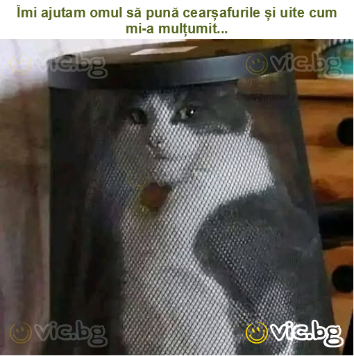 Îmi ajutam omul să pună cearșafurile și uite cum mi-a mulțumit...