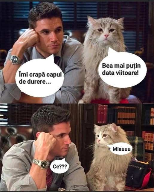 Îmi crapă capul de durere... Bea mai putin data viitoare! Ce??? Miauuuu