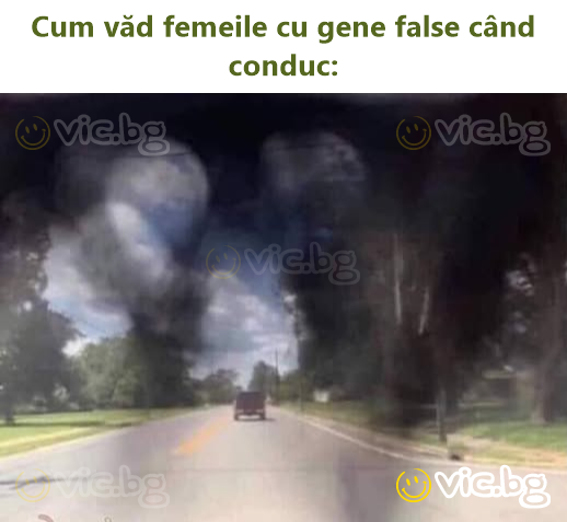 Сuм văd femeile cu gene false când conduc: