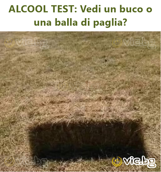 ALCOOL TEST: Vedi un buco o una balla di paglia?