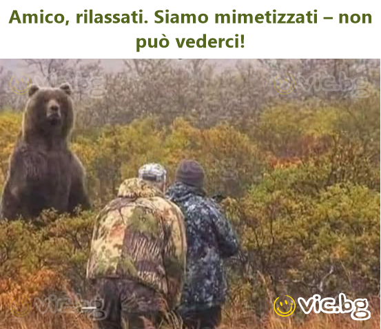 Amico, rilassati. Siamo mimetizzati – non può vederci!