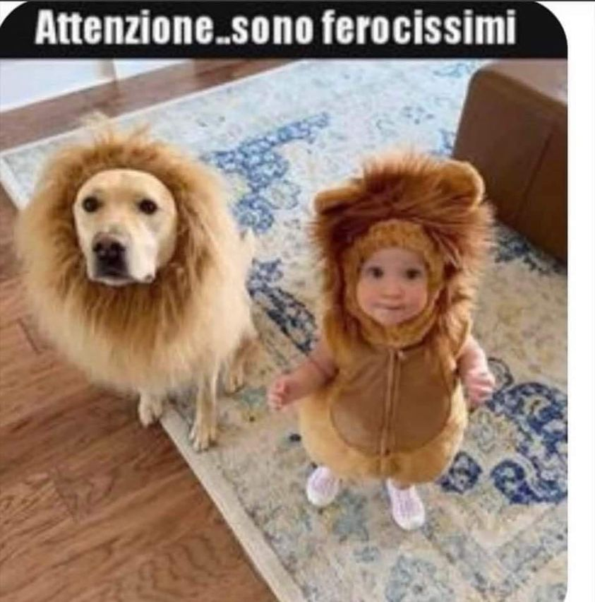 Attenzionesono ferocissimi