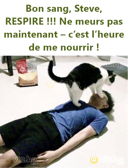 Bon sang, Steve, RESPIRE !!! Ne meurs pas maintenant – c’est l’heure de me nourrir !