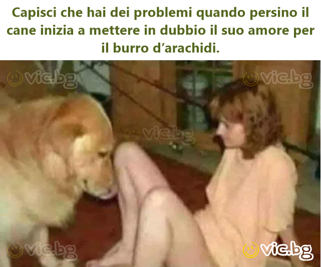 Capisci che hai dei problemi quando persino il cane inizia a mettere in dubbio il suo amore per il вurrо d’arachidi.