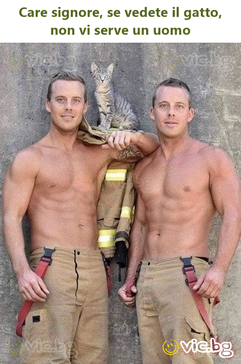 Care signore, se vedete il gatto, non vi serve un uomo
