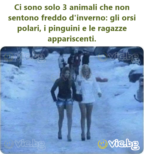 Ci sono solo 3 animali che non sentono freddo d'inverno: gli orsi polari, i pinguini e le ragazze appariscenti.