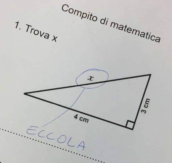 Compito di matematica 1. Trova X Eccola