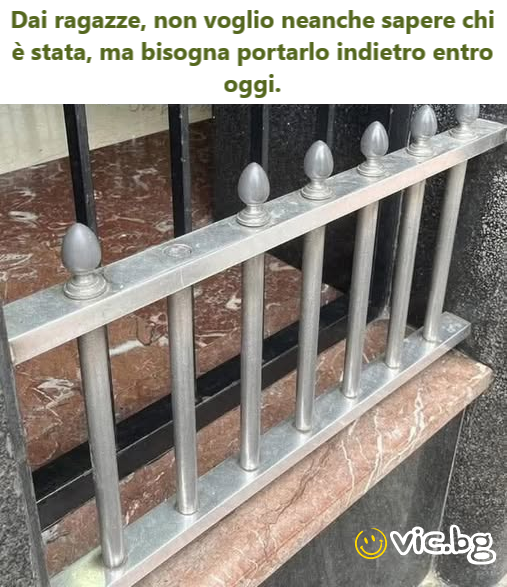 Dai ragazze, non voglio neanche sapere chi è stata, ma bisogna portarlo indietro entro oggi. 