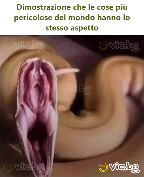 Dimostrazione che le cose più pericolose del mondo hanno lo stesso aspetto