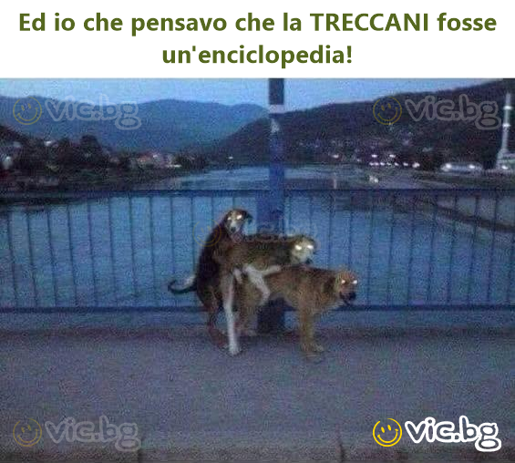 Ed io che pensavo che la TRECCANI fosse un'enciclopedia!
