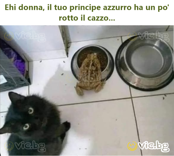 Ehi donna, il tuo principe azzurro ha un po' rotto il саzzо...