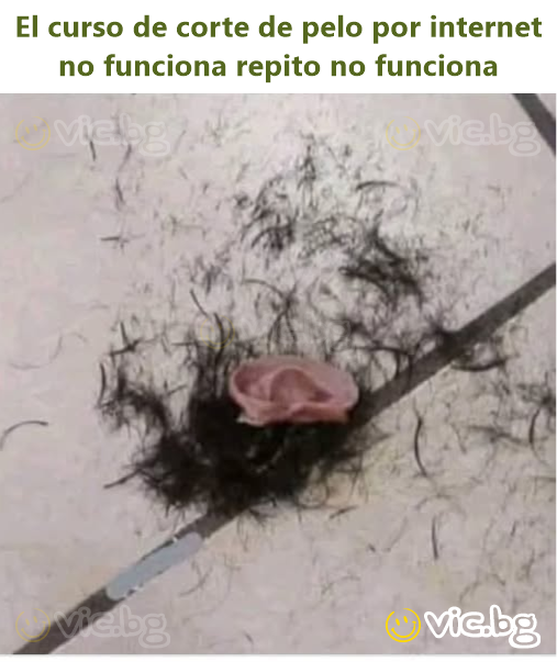 El curso de corte de pelo por internet no funciona repito no funciona