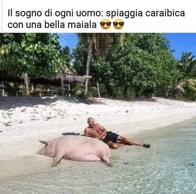 II sogno di ogni uomo: spiaggia caraibica con una bella maiala