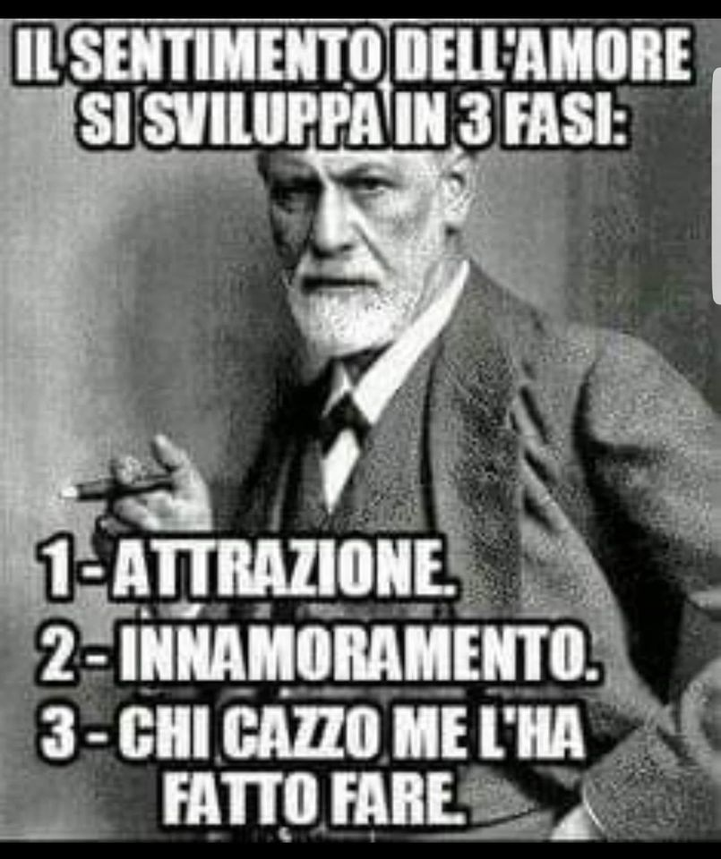 Il santimento dell'amore si sviluppa in 3 fasi: 1. Attrazione. 2. Innamoramento 3, Chi cazzo me l'ha fatto fare.