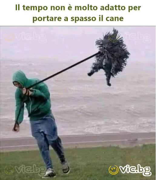 Il tempo non è molto adatto per portare a spasso il cane