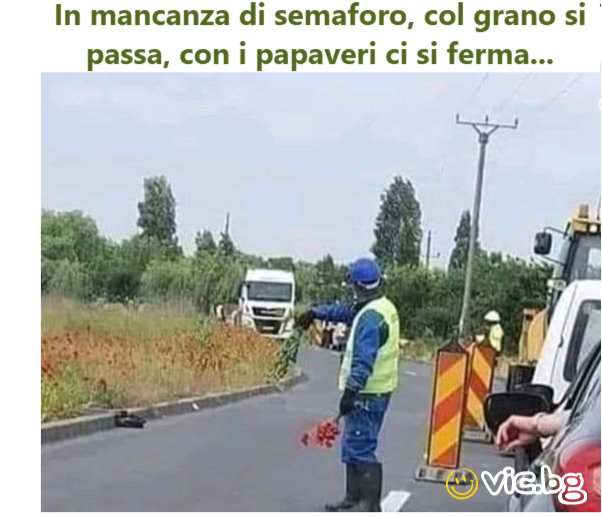 In mancanza di semaforo, col grano si passa, соn i papaveri ci si fermа