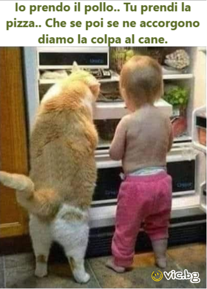 Io prendo il pollo.. Tu prendi la pizza.. Che se poi se ne accorgono diamo la colpa al cane.