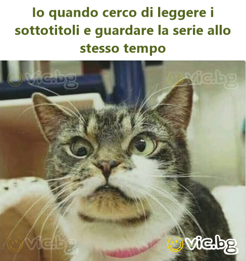 Io quando cerco di leggere i sottotitoli e guardare la serie allo stesso tempo