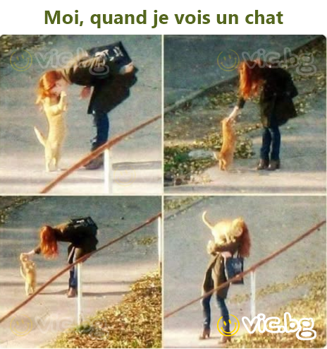 Io, quando vedo un gatto