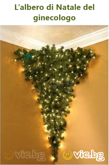 L’albero di Natale del ginecologo