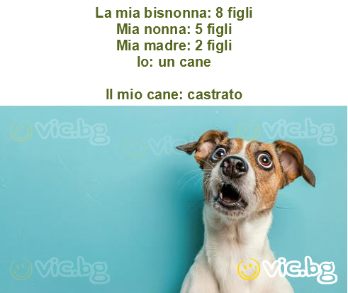 La mia bisnonna: 8 figli
Mia nonna: 5 figli
Mia madre: 2 figli
Io: un cane

Il mio cane: castrato