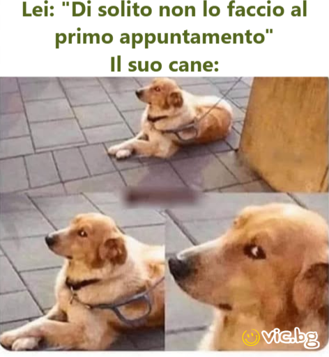 Lei: 