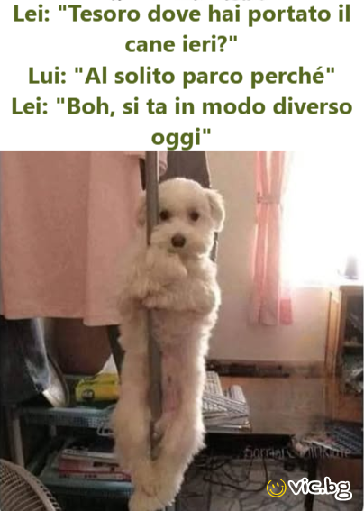 Lei: "Tesoro dove hai portato il cane ieri?" Lui: "Al solito parco perché" Lei: "Boh, si ta in modo diverso oggi"