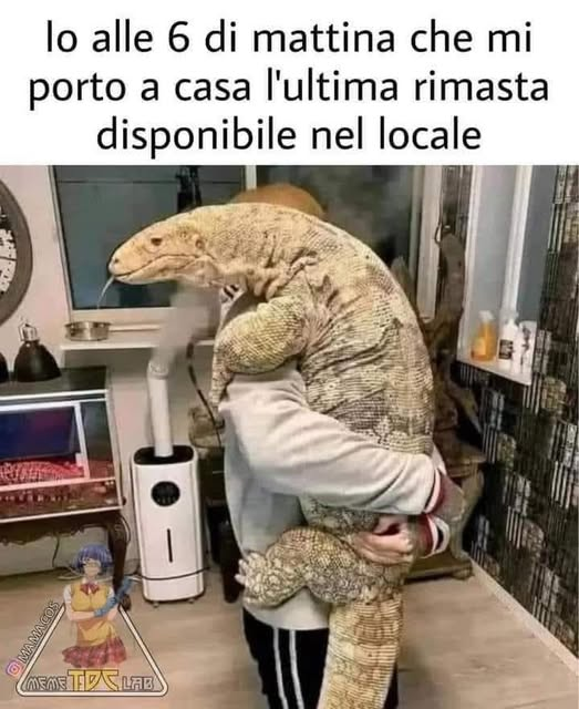 Lo alle 6 di mattina che mi porto a casa l'ultima rimasta disponibile nel locale