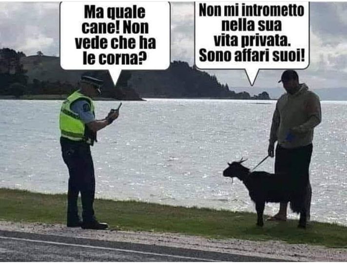 Ma quale саnе! Non vede cheha le corna? Non mi intrometto nella sua vita privata. Sono attari suoi!