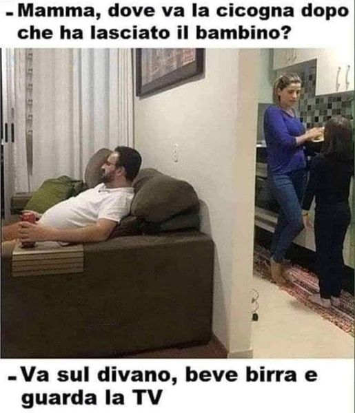 - Mamma, dove va la cicogna dopo che ha lasciato il bambino? - Va sul divano, beve birra e guarda la TV