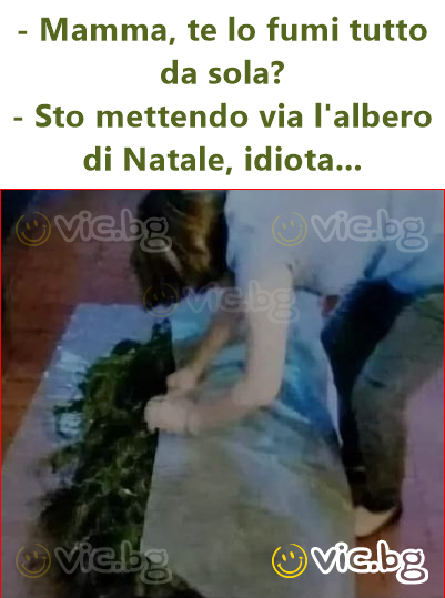 - Mamma, te lo fumi tutto da sola?  - Sto mettendo via l'albero di Natale, idiota...